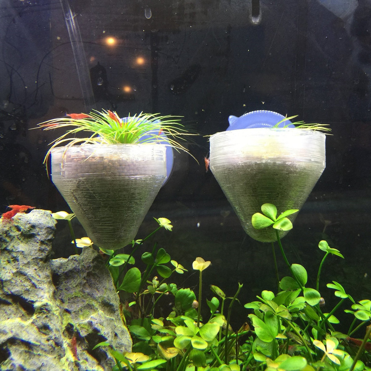 Super Plant Holder