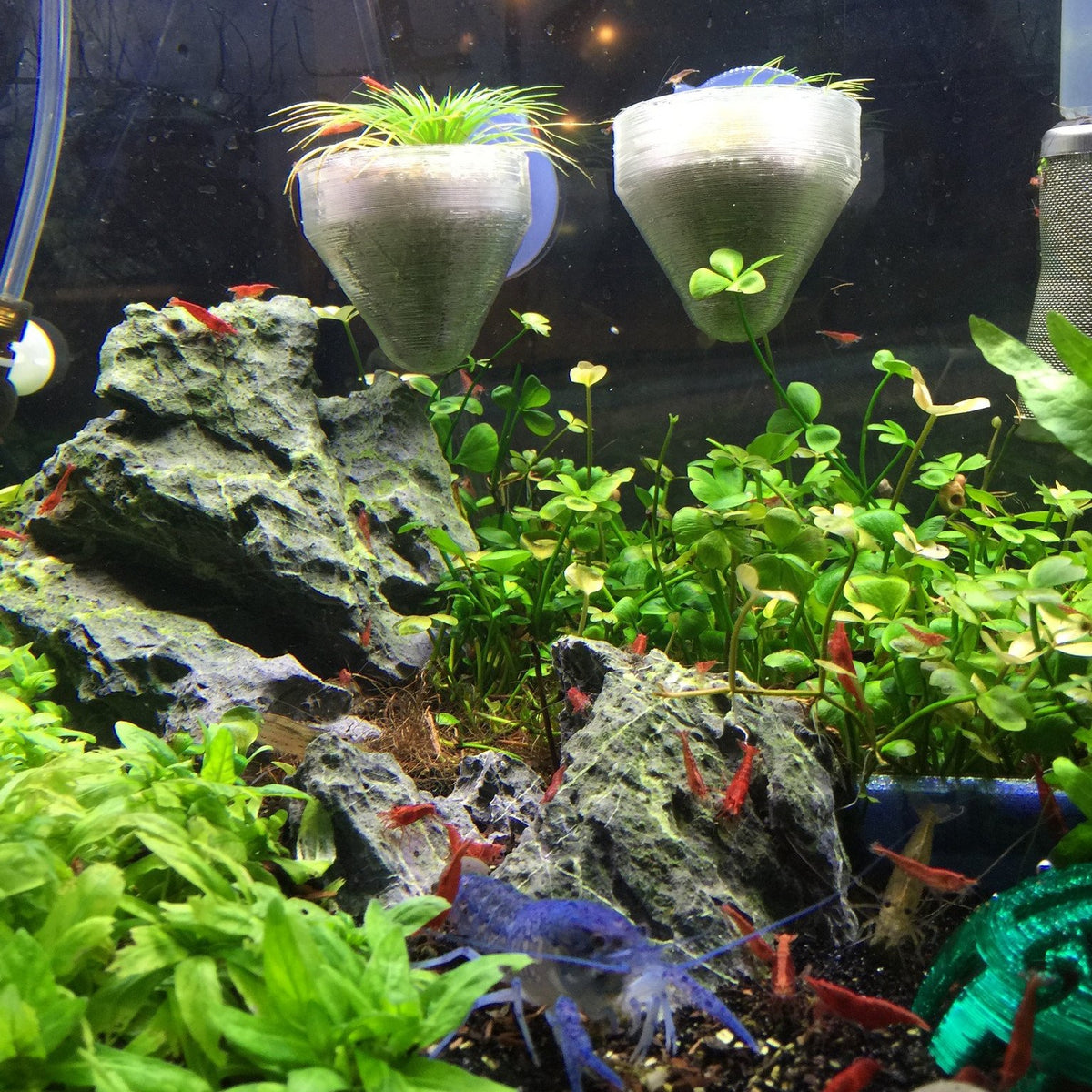 Super Plant Holder